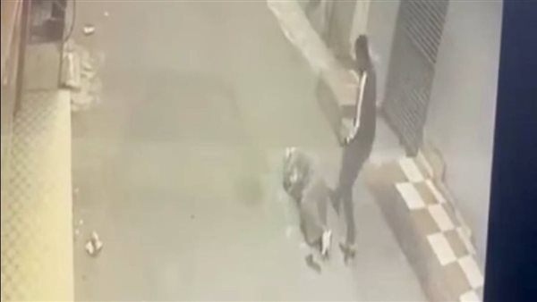 ضربها بالساطور|تفاصيل واقعة سيدة طنطا بعد اعتداء طليقها في وسط الشارع بالفيديو