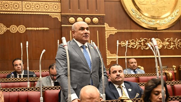 النائب شعبان رأفت: استكمال الاستحقاق الدستوري للمجالس المحلية خطوة محورية لتعزيز المشاركة الشعبية