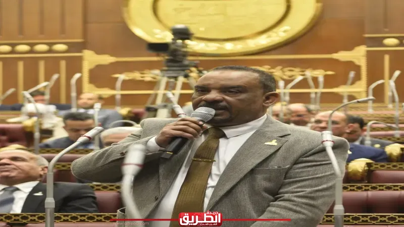 برلماني: الرئيس السيسي يواجه اضطرابات الإقليم بوعي وحكمة