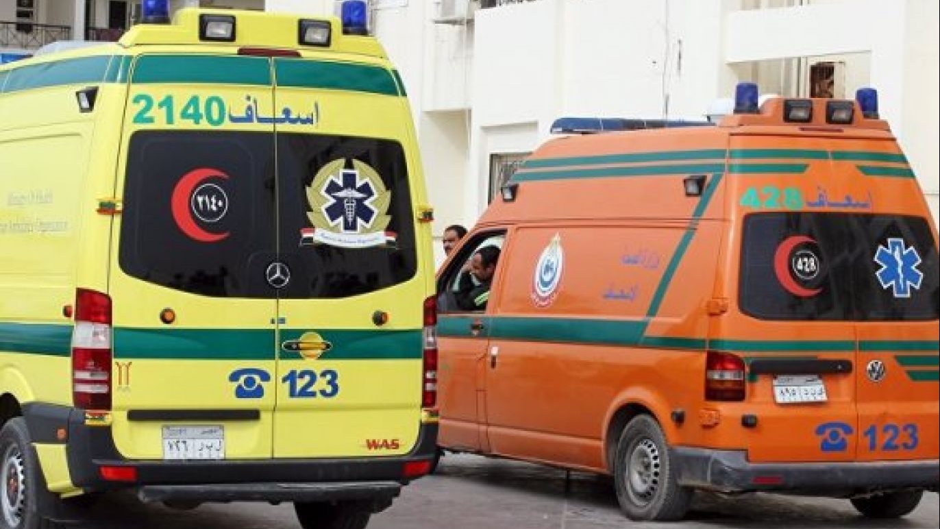 إصابات خطيرة.. حمار يعقر 3 أشخاص في قرية كوم الديربي بالدقهلبة