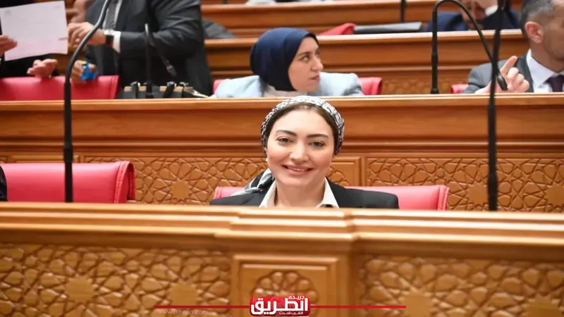 النائبة أسماء الجمال تقدم طلب إحاطة بسبب تعطل سيستم التأمينات وتأجيل الخدمات