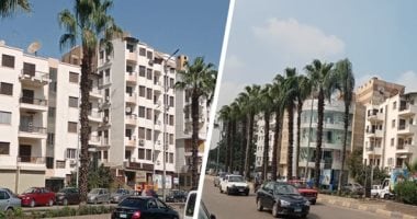 التمويل العقارى.. القانون يحدد الشروط والبيانات المطلوبة
