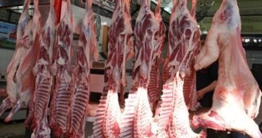 اللحمة بكام؟... أسعار اللحوم بكفر الشيخ الإثنين 15 يونيو 2026