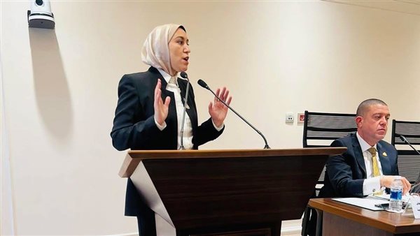 النائبة صافيناز طلعت تستعرض أزمة تكليف دفعات 2023 و2024 داخل لجنة الصحة بمجلس النواب