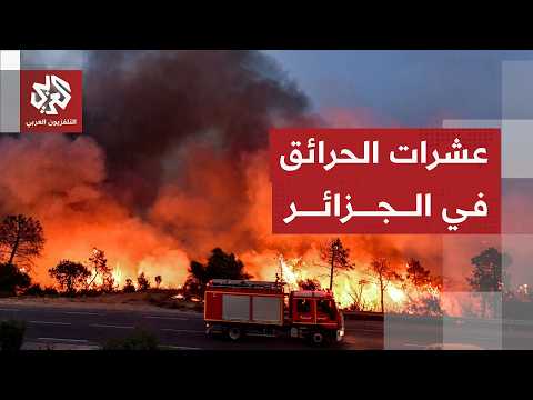 Algeria records 133 fires across 7 provinces as civil defense works to contain them
