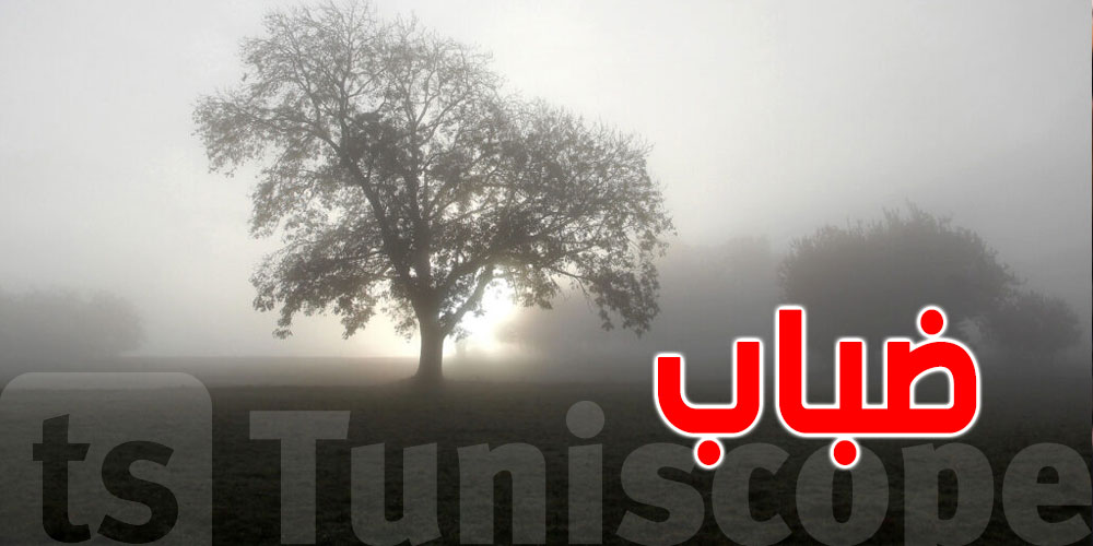 برشا ضباب: وين باش يكون الأقوى صباح غدوة؟