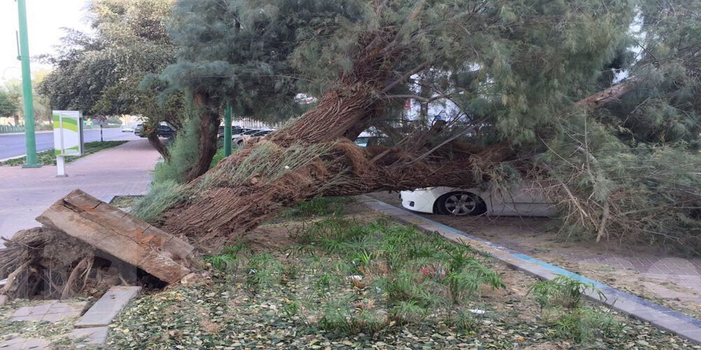 عاجل: بلدية تونس تُفعّل خلية أزمة لمواجهة التقلبات الجوية
