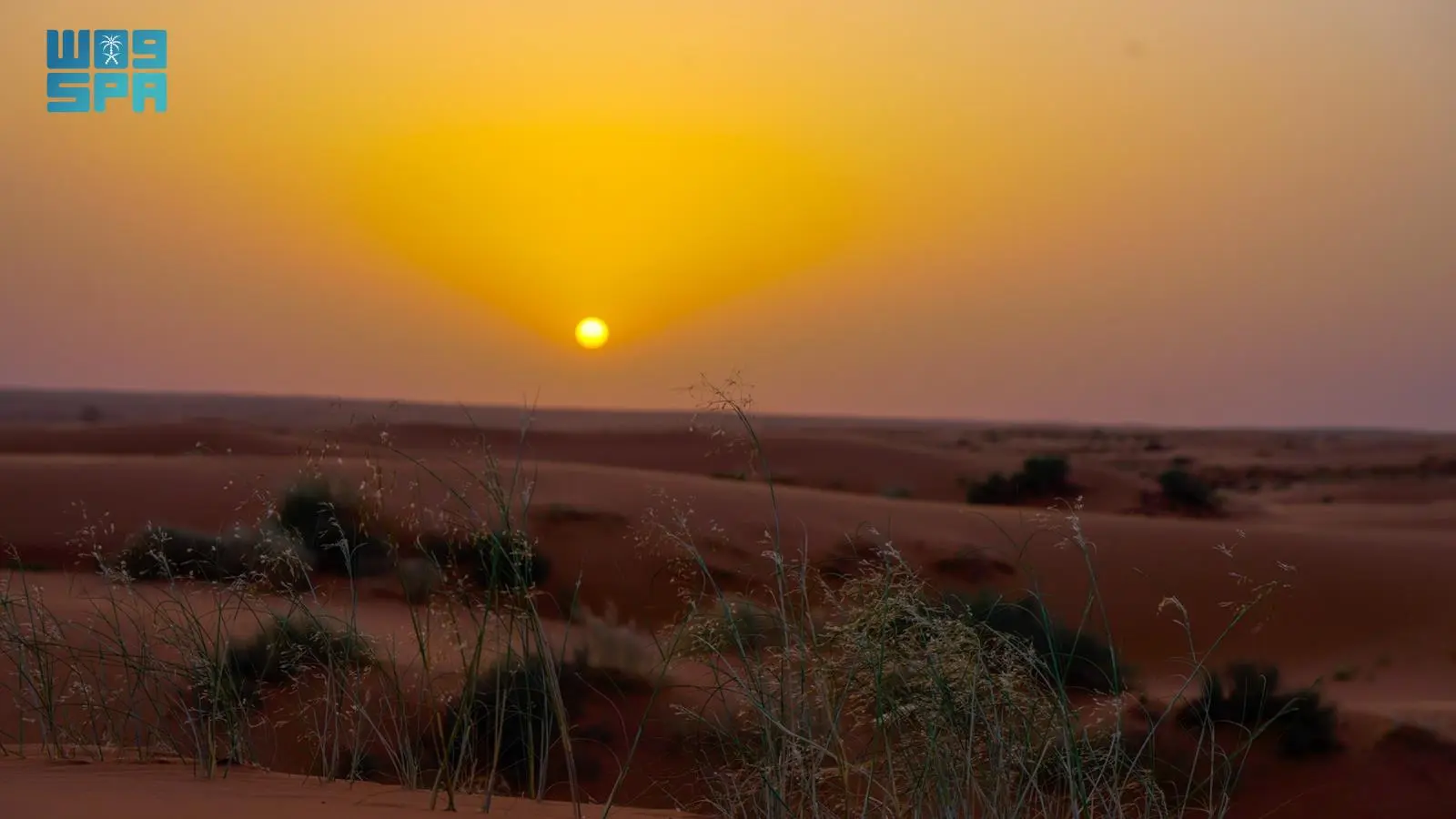 شمس المغيب تُعانق رمال النفود ونباتاته جنوب رفحاء