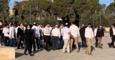 مستوطنون إسرائيليون يحاولون اقتحام المسجد الأقصى