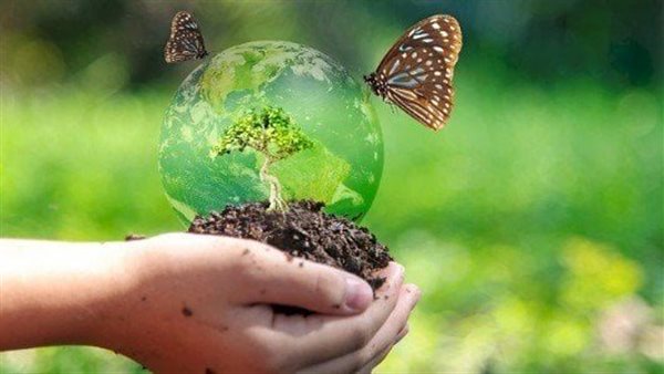 5 كيانات تتبع المركز الوطني للأمن والأمان البيولوجي، تعرف عليها