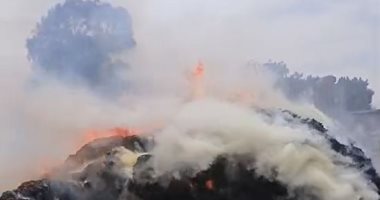 12 سيارة مطافى تسيطر على حريق هائل فى شونة كتان بقرية شبرا ملس بالغربية