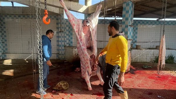 رفع درجة الاستعداد بمجزر ميت أبو غالب بدمياط لاستقبال شهر رمضان