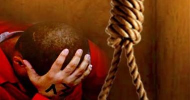 جنايات المنصورة تحيل أوراق عاطل إلى مفتي الجمهورية لقتله شقيقه