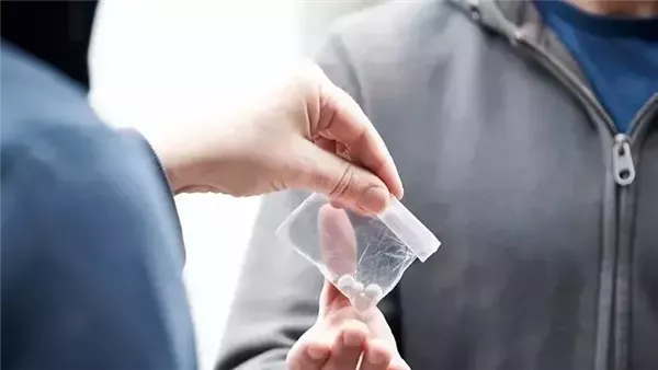 السجن 6 سنوات لمتهم بزراعة وترويج الماجيك مشروم وحيازة سلاح بالشروق