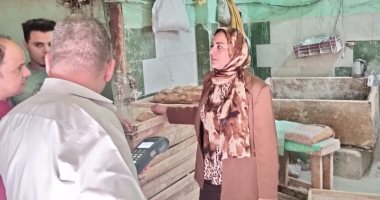 ضربة قوية لمافيا السوق السوداء.. تموين القاهرة تضبط دقيقاً مدعماً وسلعاً مجهولة المصدر