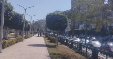 نشاط للرياح وسطوع الشمس طقس المنيا الآن