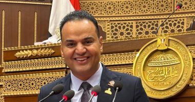 برلمانى: تطوير قوانين الأحوال الشخصية ضرورة ملحة لتحقيق العدالة الأسرية