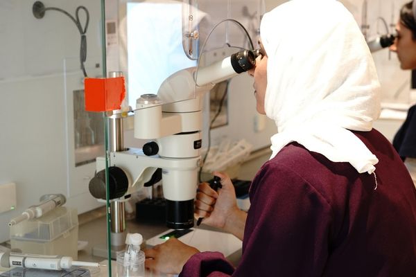 272 حالة حمل و99 مولودًا في مركز الإخصاب