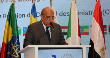 محمود عصمت: دعم جهود إنشاء سوق إقليمية تنافسية وفعالة للكهرباء بأفريقيا