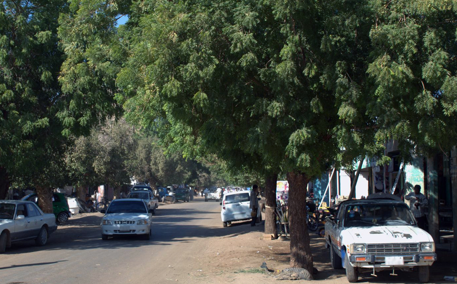 شراكة بين جامعة دنقلا ومحلية دنقلا لدعم الاعتماد الدولي لكلية الطب