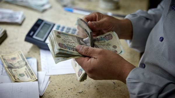 مجرد ذكر الرقم يوجع، برلمانية تطالب بمساواة الحد الأدنى للمعاشات بالأجور