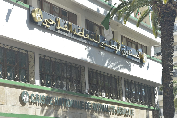 مشروع جديد لنظام التأمين ضد الكوارث الفلاحية
