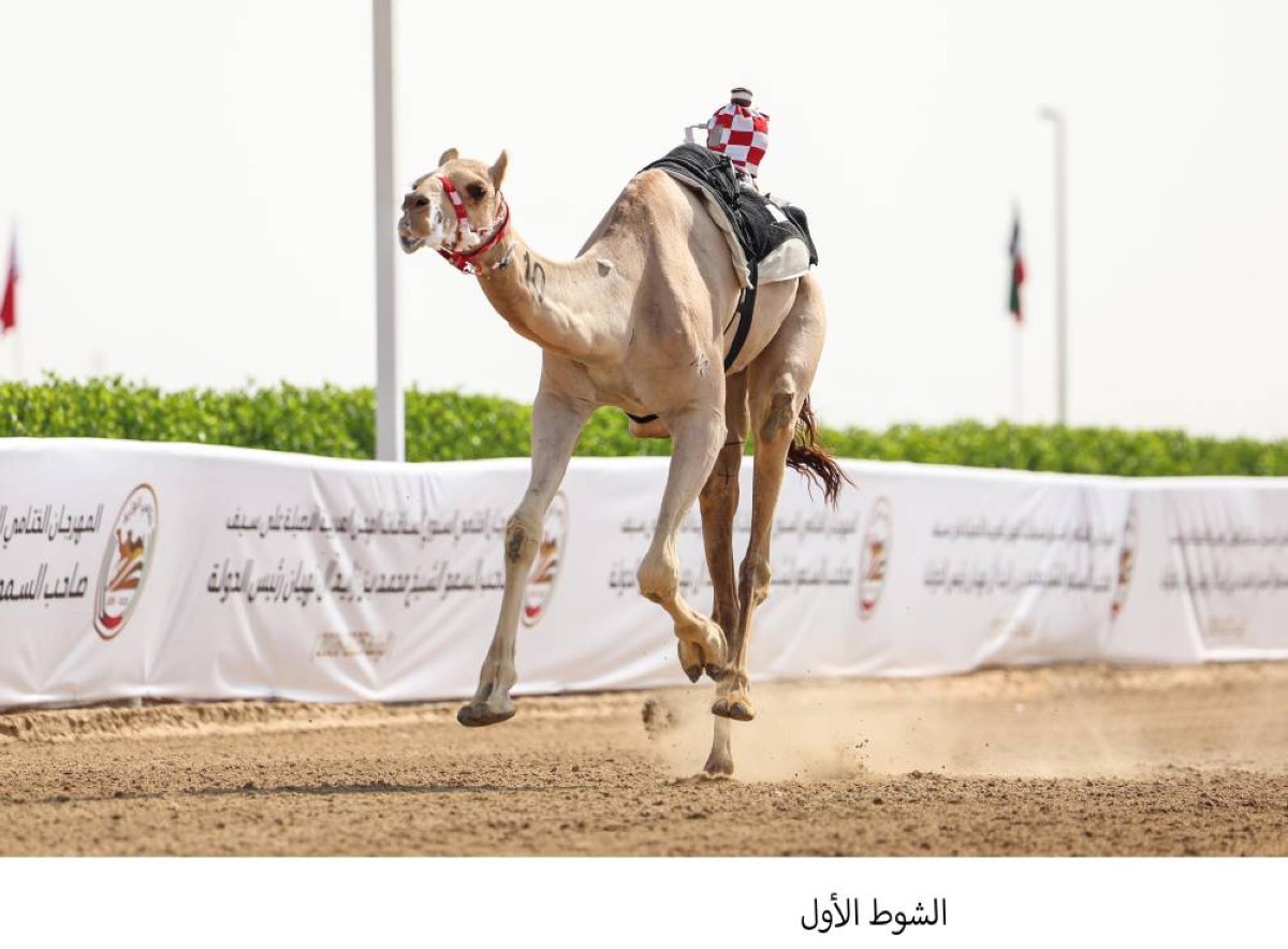 «سرابة» تخطف كأس الإيذاع الإنتاج في ختام هجن الوثبة