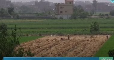 بعد ساعات.. انتهاء ظاهرة "نزول النقطة" الفلكية وبدء مرحلة حرجة لمحاصيل الصيف