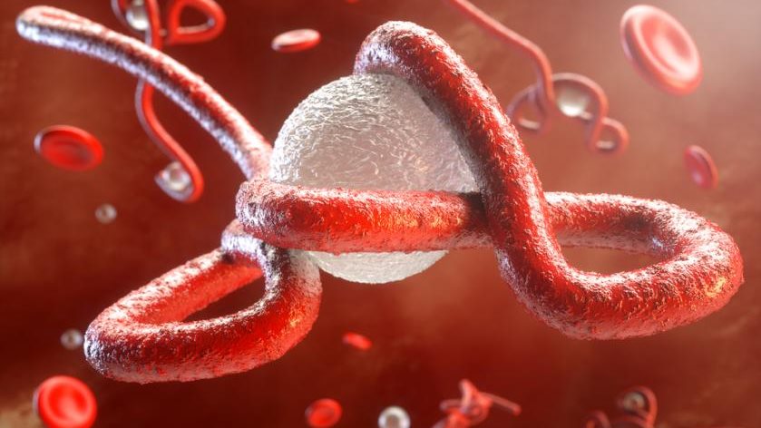 الكونغو الديمقراطية تعيد فتح مطار بونيا بعد إغلاق احترازي بسبب تفشي إيبولا