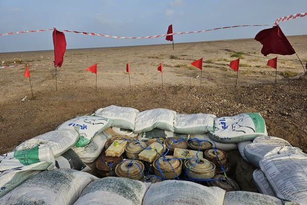 "مسام" ينزع 840 لغمًا من الأراضي اليمنية في أسبوع