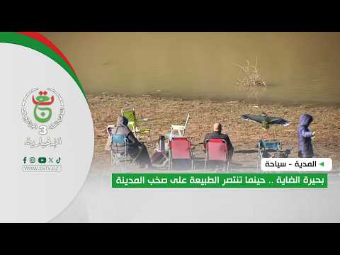 المدية - سياحة | بحيرة الضاية .. حينما تنتصر الطبيعة على صخب المدينة