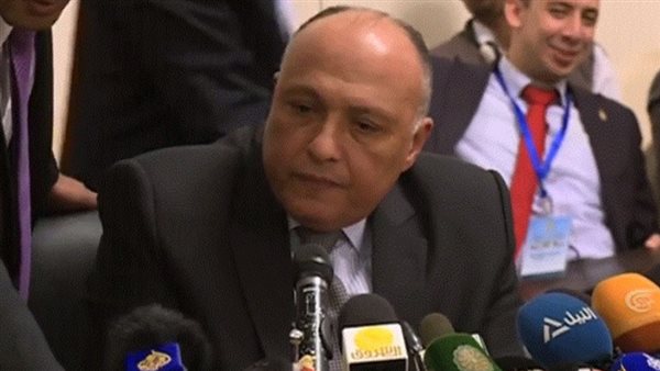سامح شكري: مصر جزء لا يتجزأ من الأمن القومي العربي