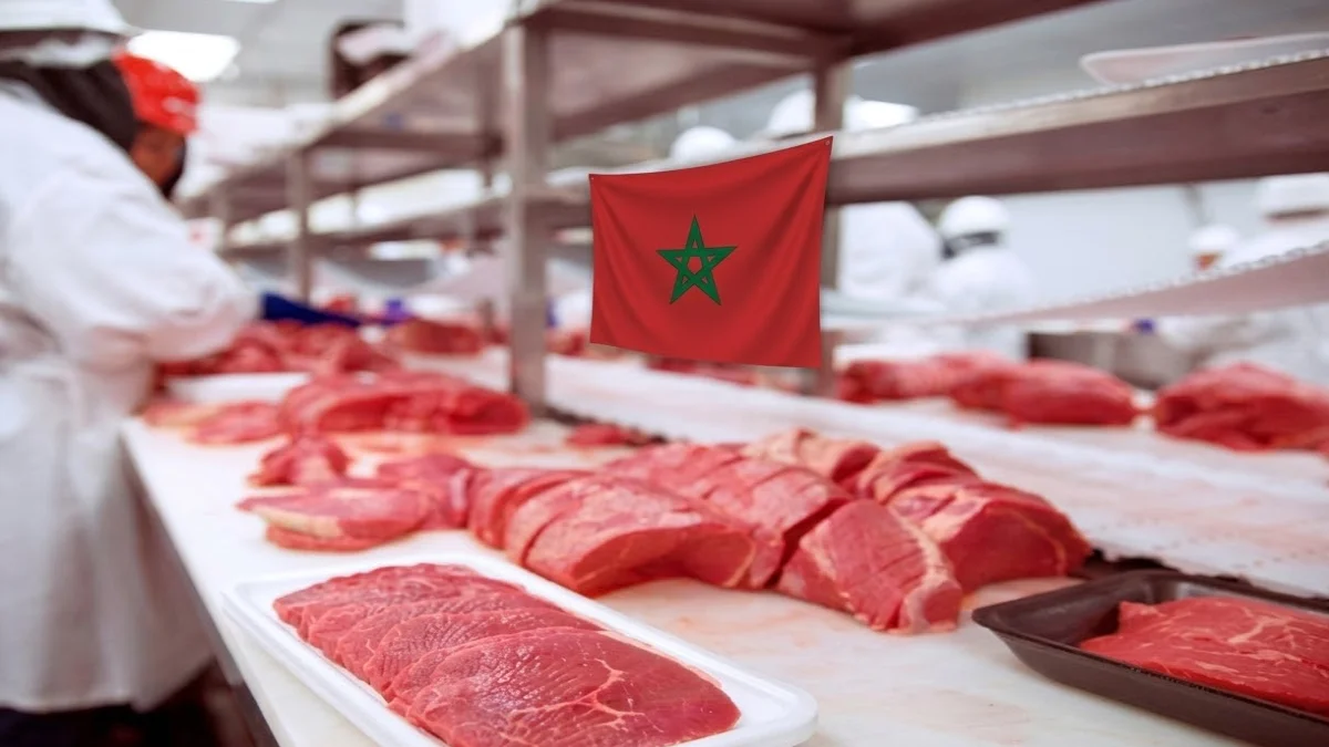 أسعار اللحوم الحمراء بالمغرب ترتفع بشكل صاروخي: هل سيستمر القفز قبل عيد الأضحى؟