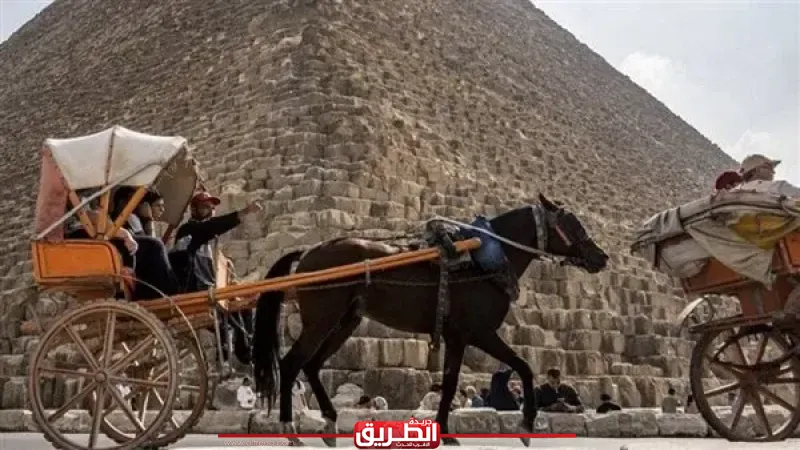 إجراءات رادعة لكل المخالفين لضوابط تأجير الدواب بالمناطق السياحية في الجيزة
