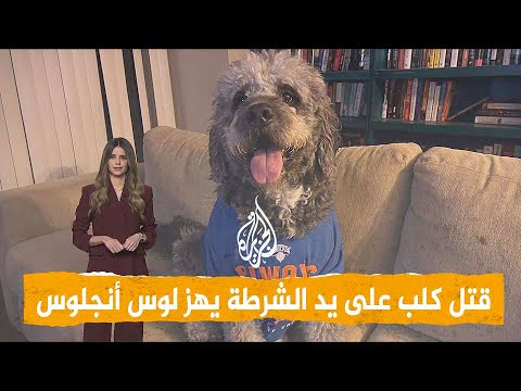 شبكات | مقتل المشجع الكلب خلال مباراة كرة سلة