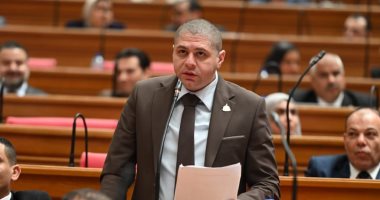 برلمانى: تصريحات الرئيس السيسى رسالة حاسمة لبناء اقتصاد قوى قائم على الإنتاج