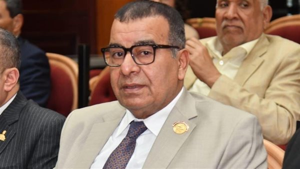 محمود مرجان: مشروع قانون الأسرة خطوة حاسمة نحو تحقيق توازن واستقرار المجتمع