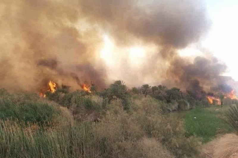 حريق مهول يلتهم واحات النخيل بأوفوس.. واستنفار متواصل لاحتواء النيران