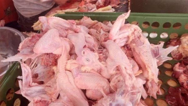 الخبير البيطري يحذر: غلطة بسيطة تجعل الفراخ سم قاتل| فيديو