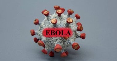 تفاصيل وفاة 130 حالة وإصابة 500 مع تفشى فيروس إيبولا
