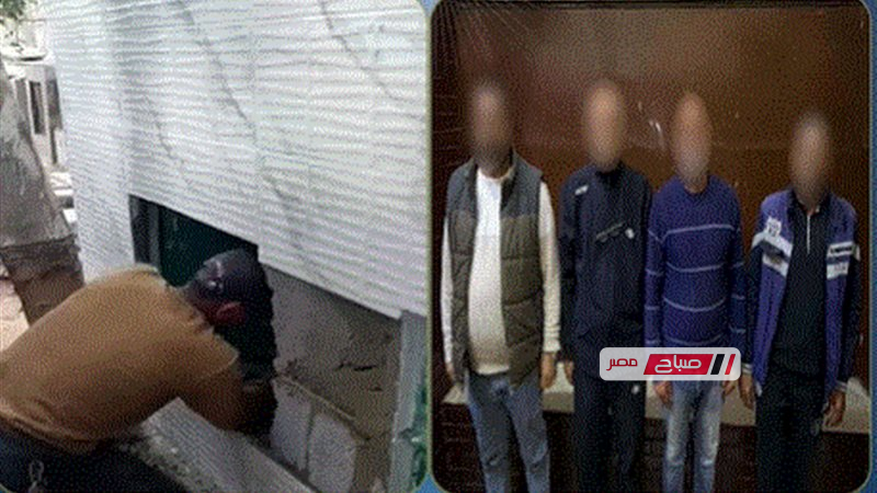 حقيقة هدم مقابر في الإسكندرية.. الأمن يكشف كواليس فيديو مضلل ويضبط المتورطين