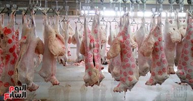 أضواء عيد الأضحى بلا غلق.. خبراء يتوقعون زيادة أرباح جزارين ومطاعم مصر من 25 لـ30% نموا فى المبيعات بعد إلغاء الإغلاق المبكر.. وداعا لخسائر الساعات الضائعة بـاستثمار يحول تكلفة الكهرباء لصفر وأرباح مس