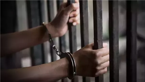 حبس المتهم بوضع كلاب داخل أكياس بلاستيك في أكتوبر