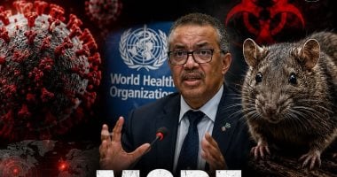 باحثون: رصد معدلات مرتفعة لفيروس هانتا بقوارض أمريكا ما يزيد من خطر التفشى