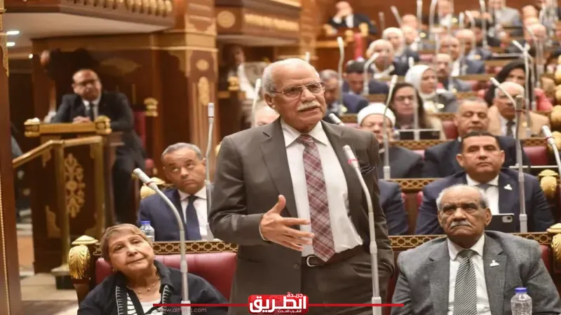 برلماني: تعديلات ”منع الاحتكار” سلاح الدولة لضبط الأسواق وكبح جشع الأسعار لصالح المواطن