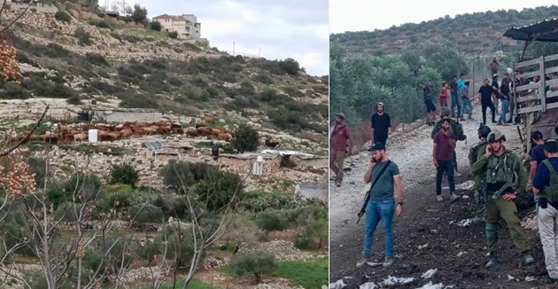 عرب الخولي... ترحيل تحت وطأة التهديد والسلاح