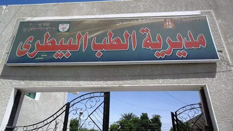 رفع جاهزية مجازر الداخلة ونقاط الذبح المجاني لاستقبال أضاحي العيد