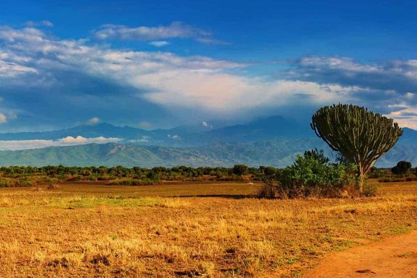 أوغندا تحذّر من موجة جفاف وارتفاع في درجات الحرارة خلال الأشهر المقبلة