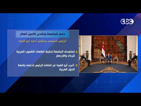 دعم للجامعة وتقدير للأمين العام.. الرئيس السيسي يستقبل أحمد أبو الغيط