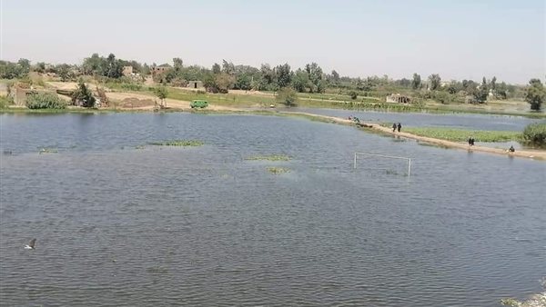 الاستشعار عن بعد ونظم المعلومات الجغرافية.. سلاح مصر في معركة الاستدامة الزراعية بأسيوط والمنيا